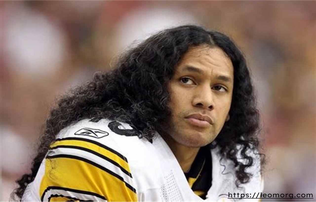 brandon polamalu